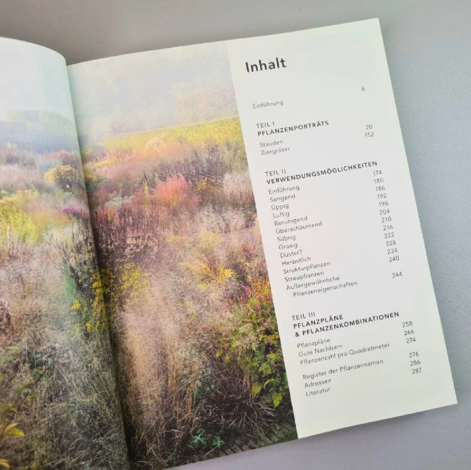 Gärten Inspiriert Von Der Natur (Piet Oudolf & Henk Gerritsen) – Bild 4