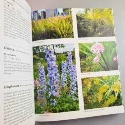 Gärten Inspiriert Von Der Natur (Piet Oudolf & Henk Gerritsen) -Gartenpflanzen Verkaufsladen 31987 Gaerten 20inspiriert 20von 20der 20Natur Piet 20Oudolf 20 20Henk 20Gerritsen 5 64ba696e cc03 4cd7 ba0e d7b5288b7ab5