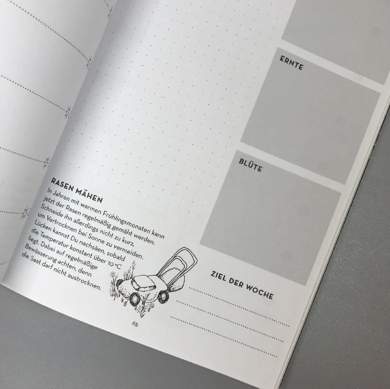 Mein Gartenjournal (Carolin Engwert) 3 Mein Gartenjournal (Carolin Engwert)