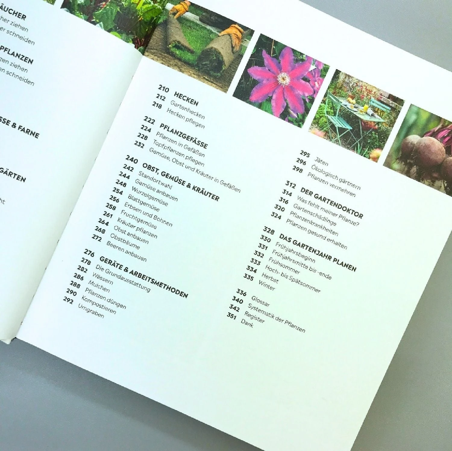 Richtig Gut Gärtnern (RHS Royal Horticulture Society) 6 Richtig Gut Gärtnern (RHS Royal Horticulture Society) – Bild 4