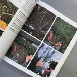 Richtig Gut Gärtnern (RHS Royal Horticulture Society) 14 Richtig Gut Gärtnern (RHS Royal Horticulture Society) -Gartenpflanzen Verkaufsladen 34294 Richtig 20gut 20Gaertnern RHS 20Royal 20Horticulture 20Society 7