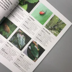 Pflanzen Im Topf (Grünes Garten Wissen) -Gartenpflanzen Verkaufsladen 34299 Pflanzen 20im 20Topf Gruenes 20Garten 20Wissen 4