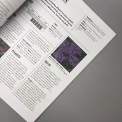 Pflanzen Im Topf (Grünes Garten Wissen) -Gartenpflanzen Verkaufsladen 34299 Pflanzen 20im 20Topf Gruenes 20Garten 20Wissen 5