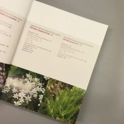 Wächst Fast Ohne Wasser (Aurélien Davroux) -Gartenpflanzen Verkaufsladen 34690 Waechst 20fast 20ohne 20Wasser Aurlien 20Davroux 5