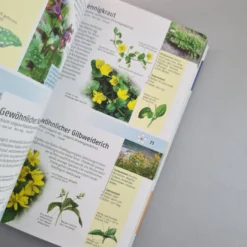 Welche Essbare Wildpflanze Ist Das? (Über 300 Wildpflanzen Europas) -Gartenpflanzen Verkaufsladen 34714 Welche 20essbare 20Wildpflanze 20ist 20das UEber 20300 20Wildpflanzen 20Europas 4 7e78ea8c dcc0 447d 8e8a cc1e7278df26