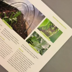 Was Mache Ich Wann Im Gemüsegarten? (Otmar Diez) -Gartenpflanzen Verkaufsladen 34784 Was 20mache 20ich 20wann 20im 20Gemuesegarten Otmar 20Diez 5