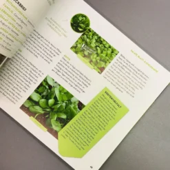 Was Mache Ich Wann Im Gemüsegarten? (Otmar Diez) -Gartenpflanzen Verkaufsladen 34784 Was 20mache 20ich 20wann 20im 20Gemuesegarten Otmar 20Diez 6