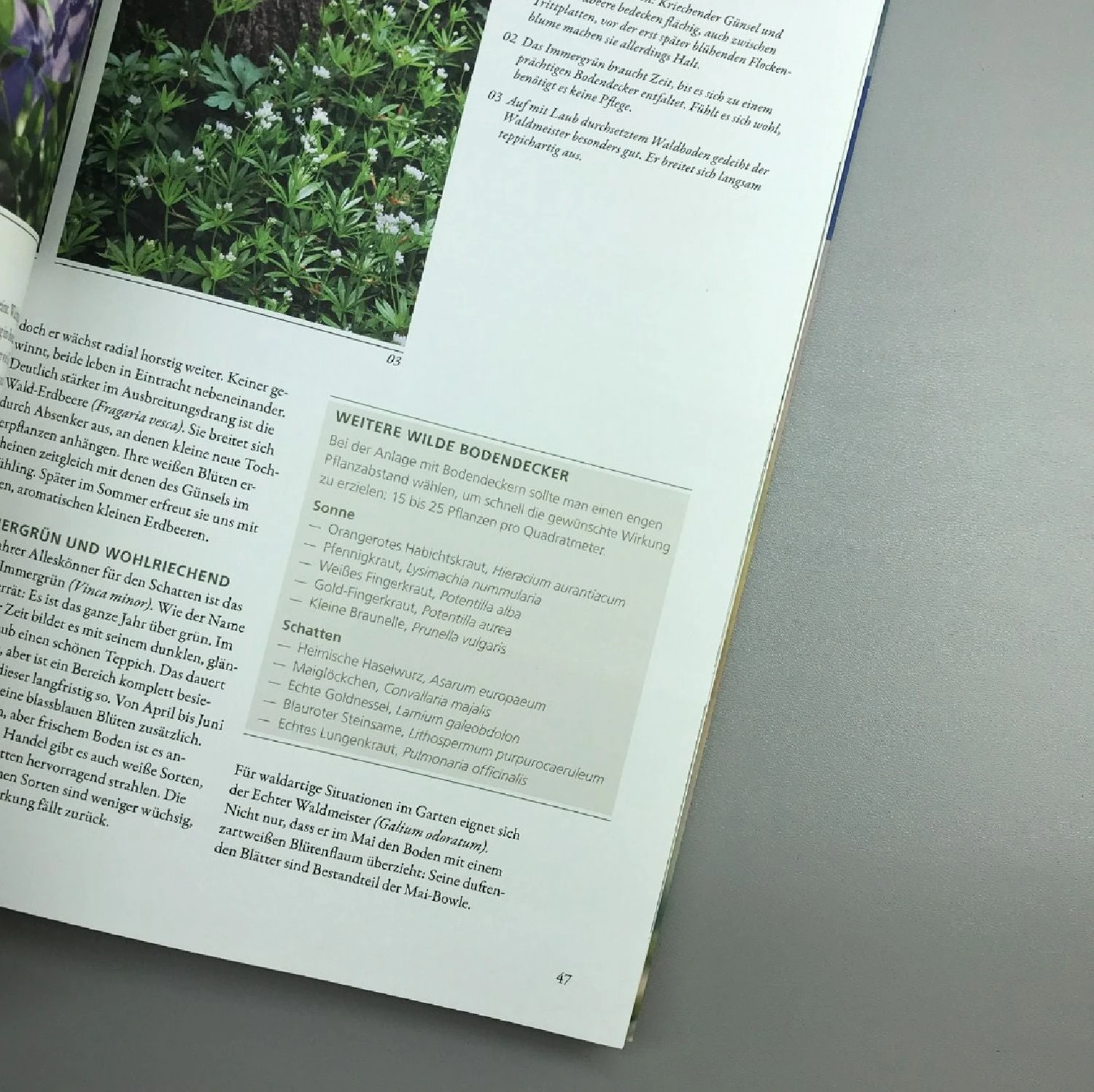 Wild Und Bunt (Naturnahe Gärten) 4 Wild Und Bunt (Naturnahe Gärten) – Bild 2