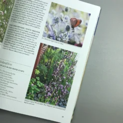 Wild Und Bunt (Naturnahe Gärten) 10 Wild Und Bunt (Naturnahe Gärten) -Gartenpflanzen Verkaufsladen 34785 Wild 20und 20Bunt Naturnahe 20Gaerten 4 2006667a 7050 4d14 88ee 9f2b67e89403