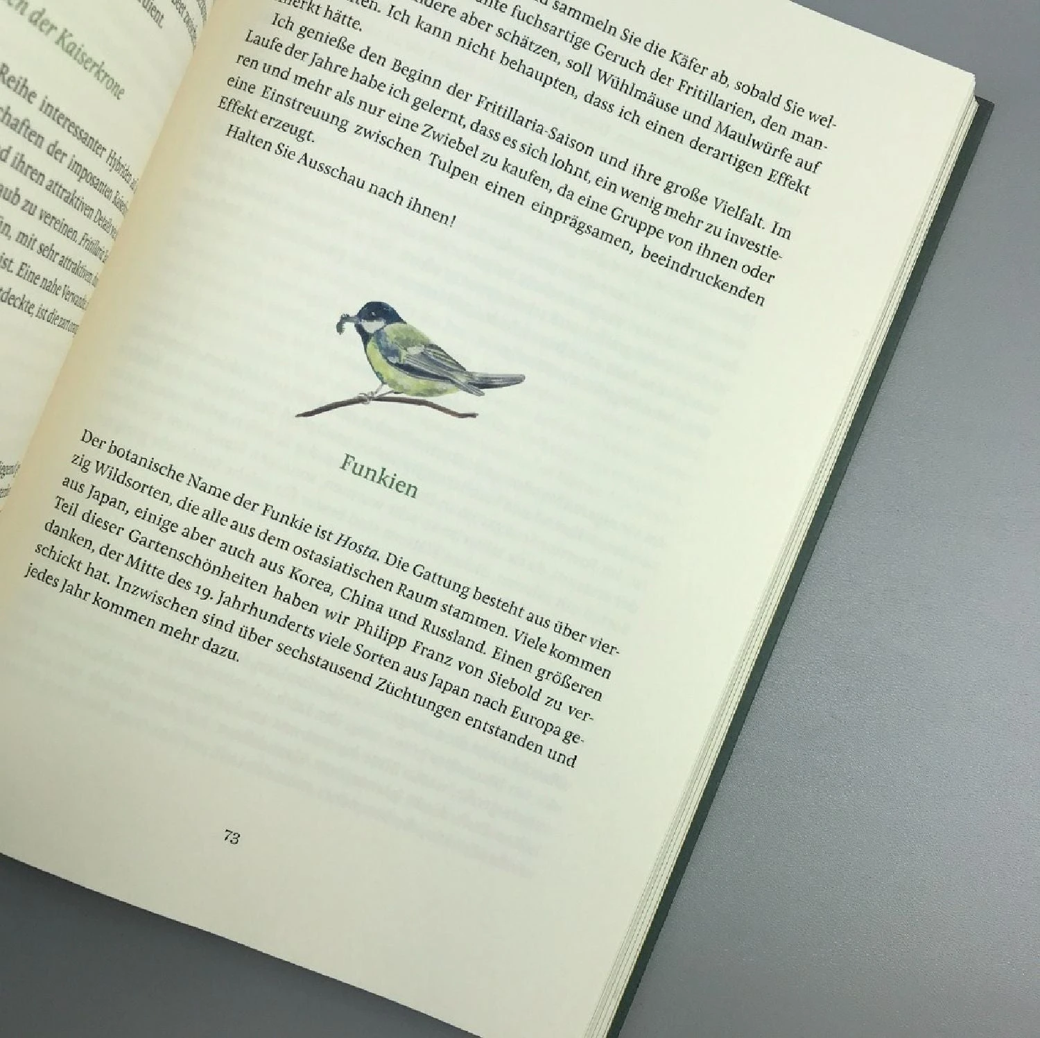 Die Sieben Jahreszeiten (Isabelle Van Groeningen) 4 Die Sieben Jahreszeiten (Isabelle Van Groeningen) – Bild 2