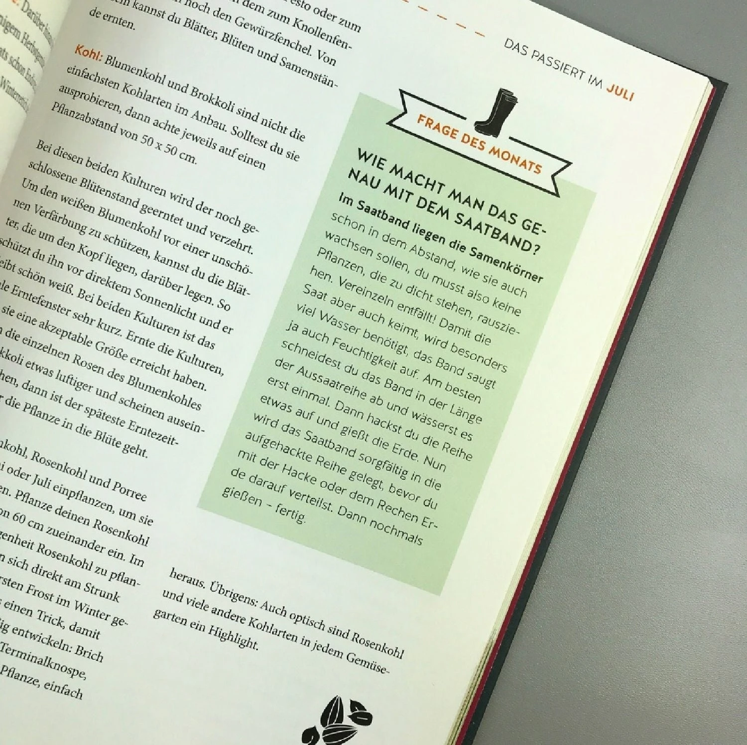 Gemüse Für Alle! (Kirchbaumer, Ganders, Remmel) 4 Gemüse Für Alle! (Kirchbaumer, Ganders, Remmel) – Bild 2