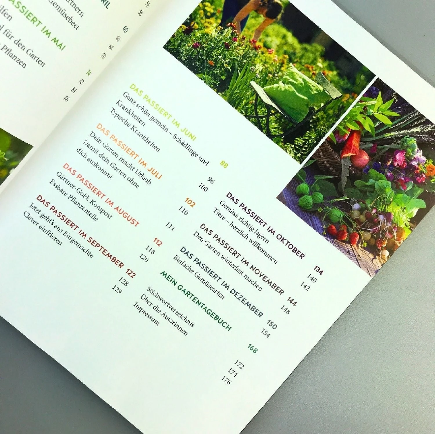 Gemüse Für Alle! (Kirchbaumer, Ganders, Remmel) 5 Gemüse Für Alle! (Kirchbaumer, Ganders, Remmel) – Bild 3