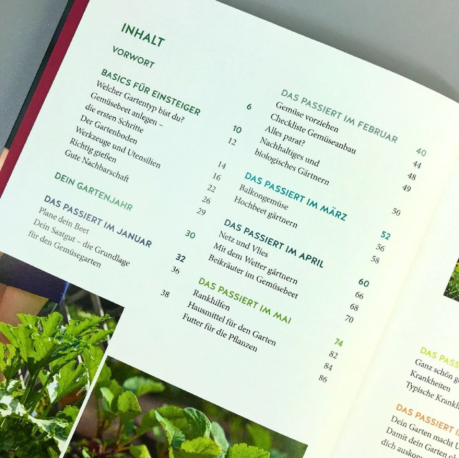 Gemüse Für Alle! (Kirchbaumer, Ganders, Remmel) 6 Gemüse Für Alle! (Kirchbaumer, Ganders, Remmel) – Bild 4