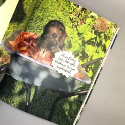 Mit Witz, Charme Und Methode (Katrin Iskam, Beate Balz) 13 Mit Witz, Charme Und Methode (Katrin Iskam, Beate Balz) -Gartenpflanzen Verkaufsladen 35807 Mit 20Witz 20Charme 20und 20Methode 20 Katrin 20Iskam 20Beate 20Balz 4