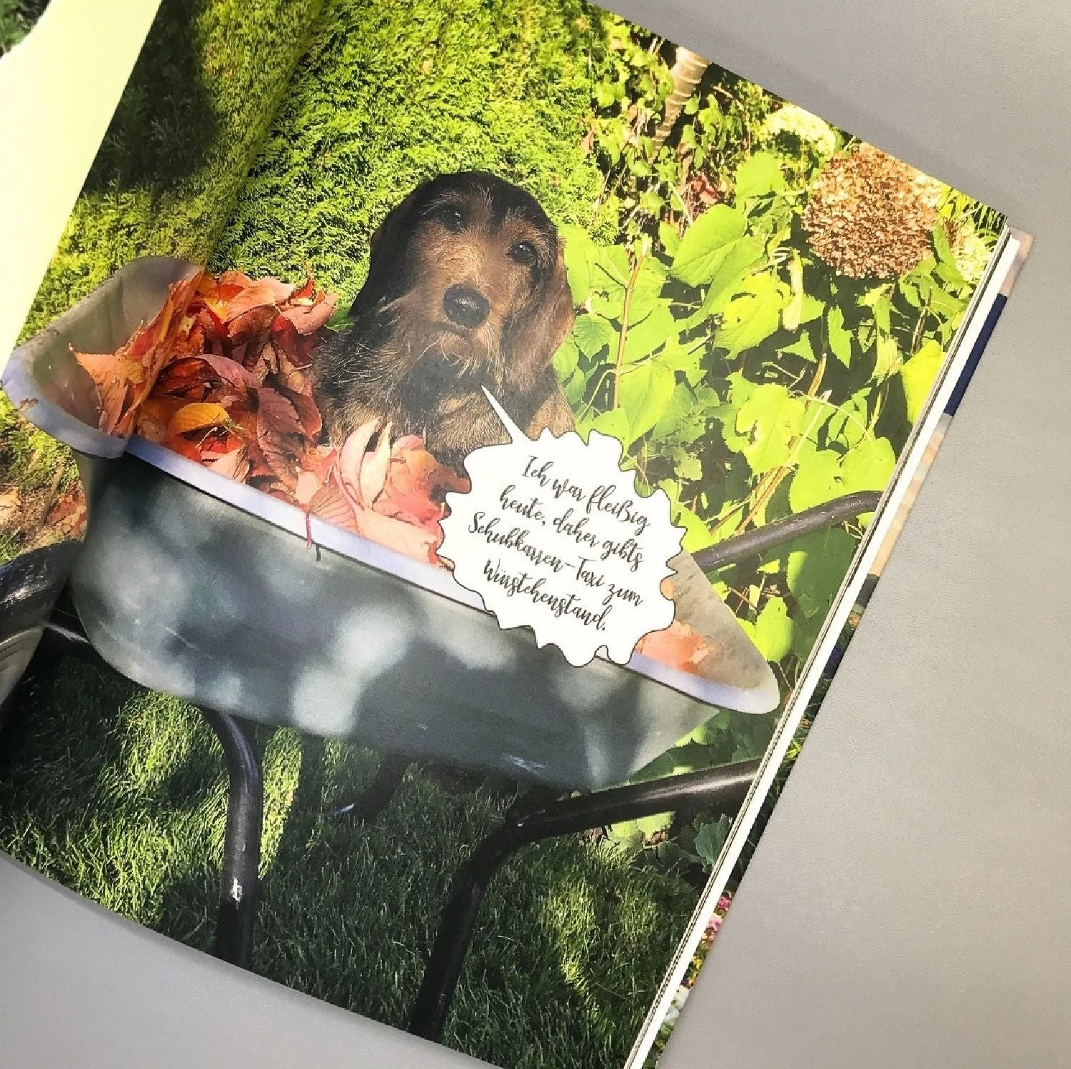 Mit Witz, Charme Und Methode (Katrin Iskam, Beate Balz) 5 Mit Witz, Charme Und Methode (Katrin Iskam, Beate Balz) – Bild 3