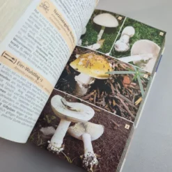 Der Große Kosmos Pilzführer (Hans E. Laux) -Gartenpflanzen Verkaufsladen 35907 Der 20grosse 20Kosmos 20Pilzfuehrer Hans 20E 20Laux 5