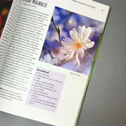 Die 150 Besten Pflanzen (für Jede Gartenecken) -Gartenpflanzen Verkaufsladen 35935 Die 20150 20Besten 20Pflanzen 20fuer 20jede 20Gartenecken 4