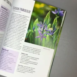 Die 150 Besten Pflanzen (für Jede Gartenecken) -Gartenpflanzen Verkaufsladen 35935 Die 20150 20Besten 20Pflanzen 20fuer 20jede 20Gartenecken 5