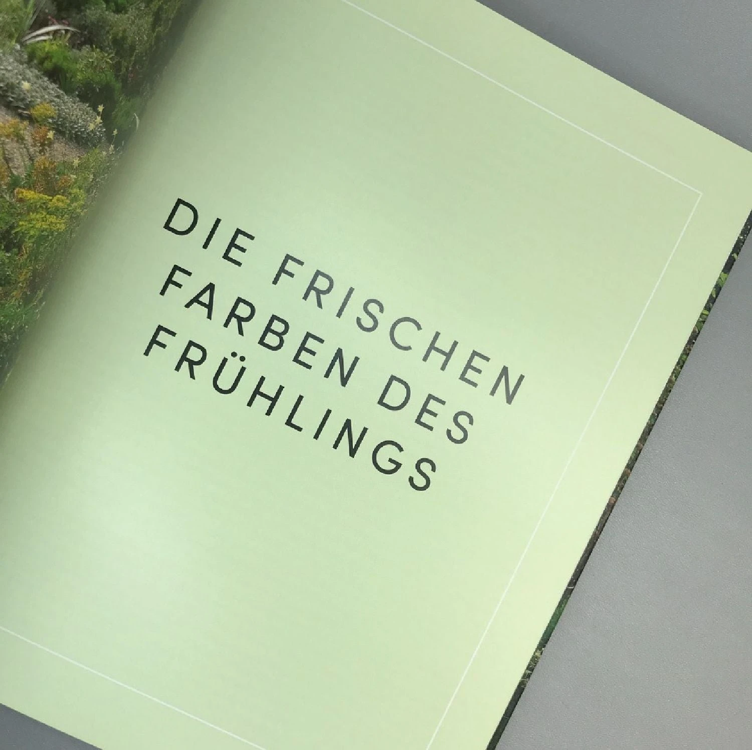 Beth Chatto Kiesgarten (Gärtnern Auf Trockenem Standort) 6 Beth Chatto Kiesgarten (Gärtnern Auf Trockenem Standort) – Bild 4