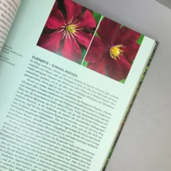 Beth Chatto Kiesgarten (Gärtnern Auf Trockenem Standort) 12 Beth Chatto Kiesgarten (Gärtnern Auf Trockenem Standort) -Gartenpflanzen Verkaufsladen 35936 Beth 20Chatto 20Kiesgarten Gaertnern 20auf 20trockenem 20Standort 6