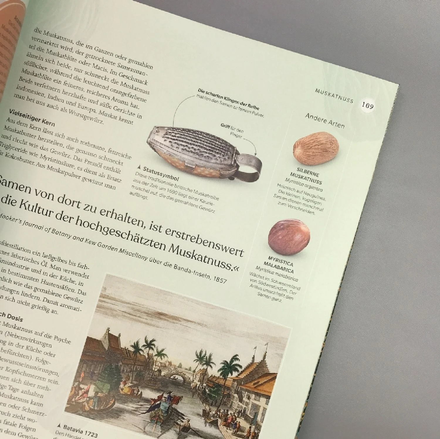 Alles über Bäume (Eine Natur- Und Kulturgeschichte) 6 Alles über Bäume (Eine Natur- Und Kulturgeschichte) – Bild 4