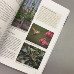 Wildkräuter In Töpfen Und Kübeln (Ortrud Grieb) -Gartenpflanzen Verkaufsladen 37112 Wildkraeuter 20in 20Toepfen 20und 20Kuebeln Ortrud 20Grieb 5