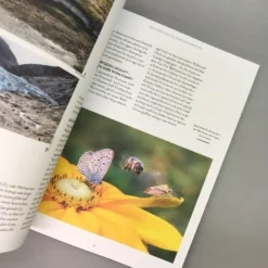 Wenn Nicht Jetzt, Wann Dann? (Manuela Gassner) -Gartenpflanzen Verkaufsladen 37114 Wenn 20nicht 20jetzt 20Wann 20dann Manuela 20Gassner 5