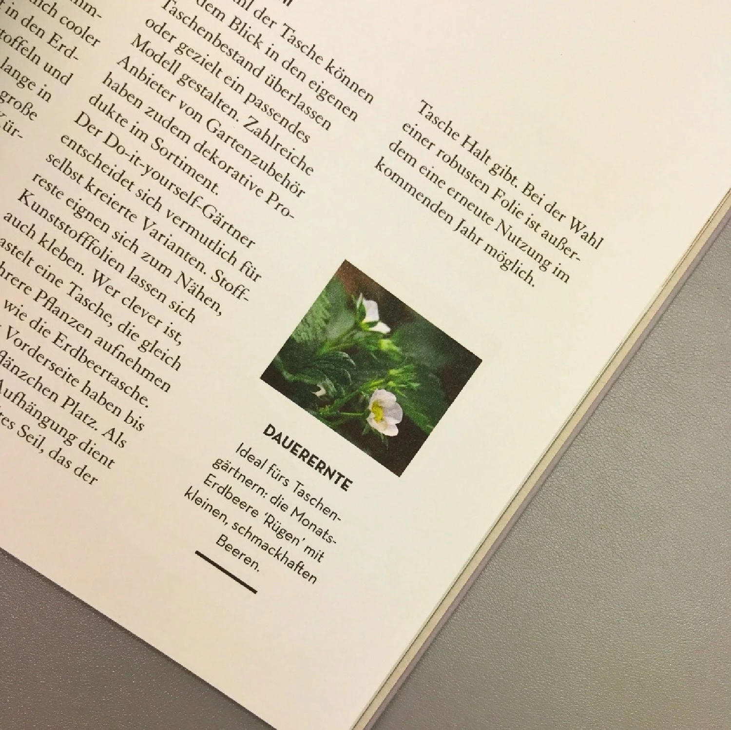 Vertikal Gärtnern (Martin Staffler) 8 Vertikal Gärtnern (Martin Staffler) – Bild 6