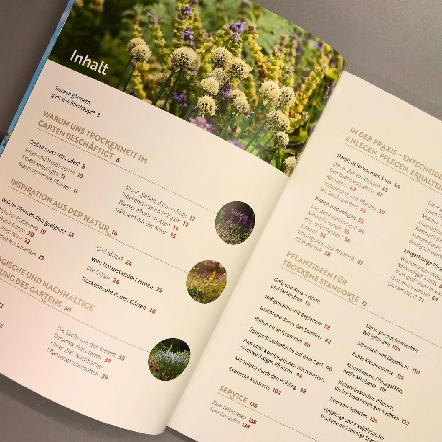 Echte Hitzeprofis (Katrin Lugerbauer) 4 Echte Hitzeprofis (Katrin Lugerbauer) – Bild 2