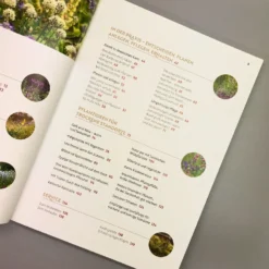 Echte Hitzeprofis (Katrin Lugerbauer) 10 Echte Hitzeprofis (Katrin Lugerbauer) -Gartenpflanzen Verkaufsladen 37807 Echte 20Hitzeprofis Katrin 20Lugerbauer 4