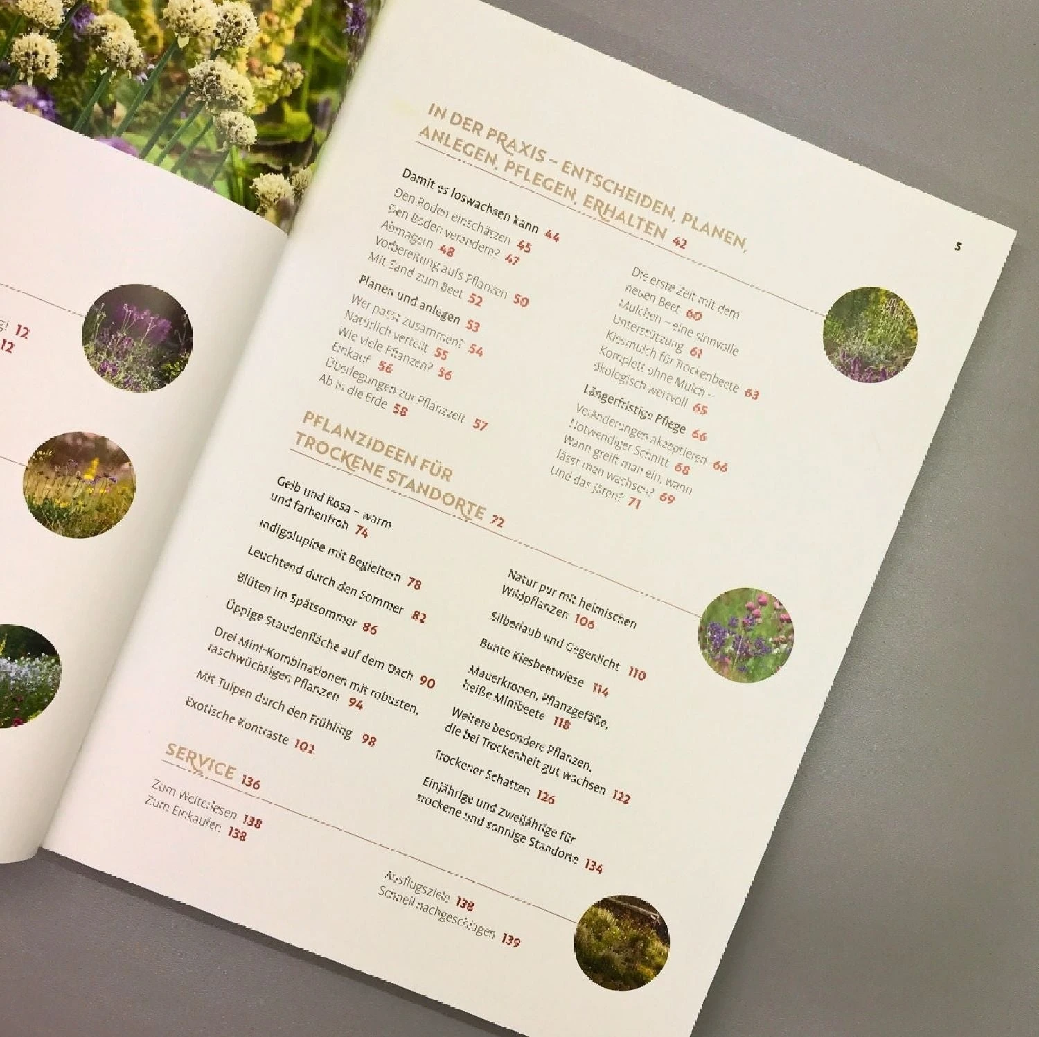 Echte Hitzeprofis (Katrin Lugerbauer) 5 Echte Hitzeprofis (Katrin Lugerbauer) – Bild 3