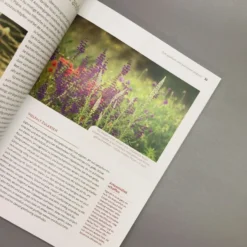 Echte Hitzeprofis (Katrin Lugerbauer) 11 Echte Hitzeprofis (Katrin Lugerbauer) -Gartenpflanzen Verkaufsladen 37807 Echte 20Hitzeprofis Katrin 20Lugerbauer 5