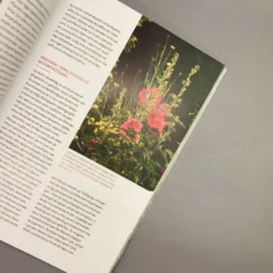 Echte Hitzeprofis (Katrin Lugerbauer) 12 Echte Hitzeprofis (Katrin Lugerbauer) -Gartenpflanzen Verkaufsladen 37807 Echte 20Hitzeprofis Katrin 20Lugerbauer 6