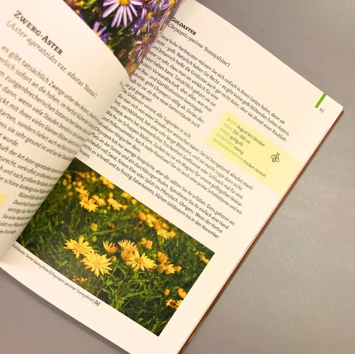 Gartenschätze (Falk-Ingo Klee) 5 Gartenschätze (Falk-Ingo Klee) – Bild 3