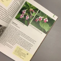 Gartenschätze (Falk-Ingo Klee) 10 Gartenschätze (Falk-Ingo Klee) -Gartenpflanzen Verkaufsladen 37860 Gartenschaetze Falk Ingo 20Klee 5 3569ac3e 0bf8 4290 be0e 984267987b47