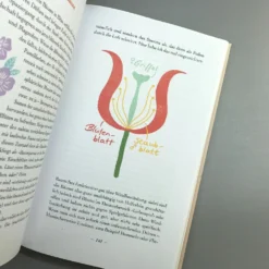 Schreibers Naturarium (Jasmin Schreiber) -Gartenpflanzen Verkaufsladen 38201 Schreibers 20Naturarium Jasmin 20Schreiber 4