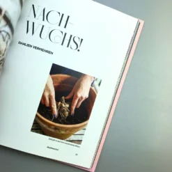 Dahlien Zauber (Sarah Stiller) -Gartenpflanzen Verkaufsladen 38278 Dahlien 20Zauber Sarah 20Stiller 5