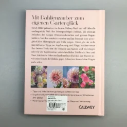 Dahlien Zauber (Sarah Stiller) -Gartenpflanzen Verkaufsladen 38278 Dahlien 20Zauber Sarah 20Stiller 6