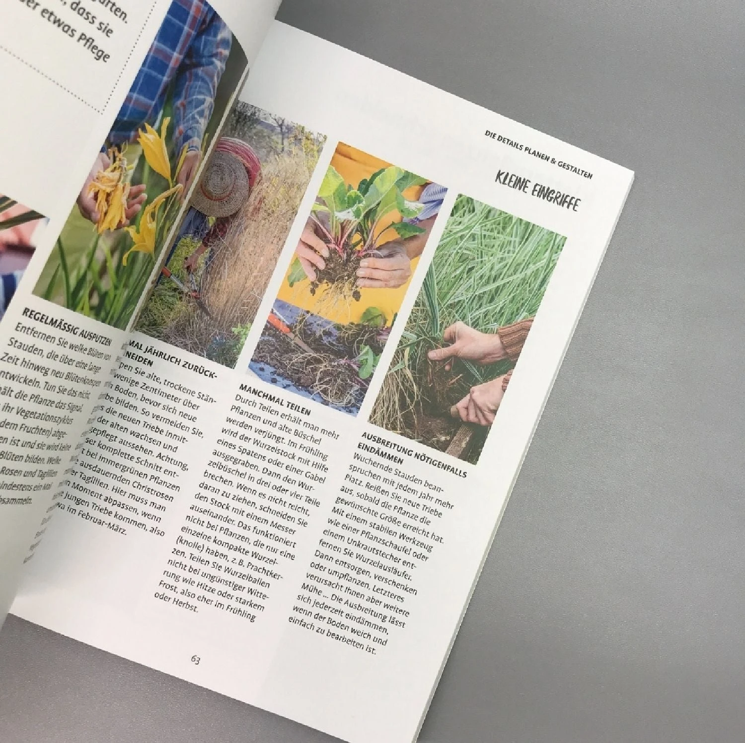 In Den Garten Fertig Los (Jean-Michel Groult) 7 In Den Garten Fertig Los (Jean-Michel Groult) – Bild 5