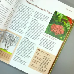 Pflanzenschnitt (DAS GROSSE GU PRAXISHANDBUCH) -Gartenpflanzen Verkaufsladen 38619 Pflanzenschnitt DAS 20GROSSE 20GU 20PRAXISHANDBUCH 4