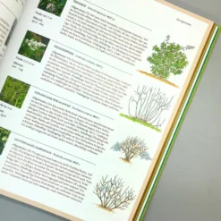Pflanzenschnitt (DAS GROSSE GU PRAXISHANDBUCH) -Gartenpflanzen Verkaufsladen 38619 Pflanzenschnitt DAS 20GROSSE 20GU 20PRAXISHANDBUCH 5