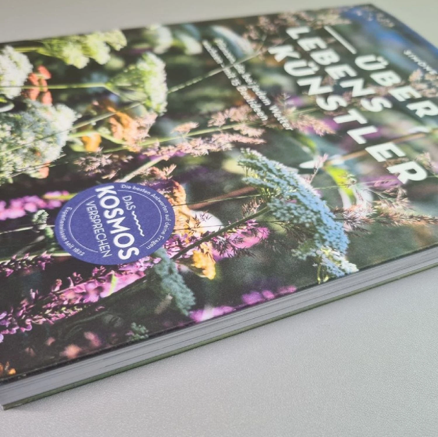 Überlebenskünstler (Simone Kern) 5 Überlebenskünstler (Simone Kern) – Bild 3