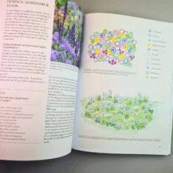 Überlebenskünstler (Simone Kern) 9 Überlebenskünstler (Simone Kern) -Gartenpflanzen Verkaufsladen 38665 UEberlebenskuenstler Simone 20Kern 4 964d27af 3dd4 4934 8637 057e75bf59d7