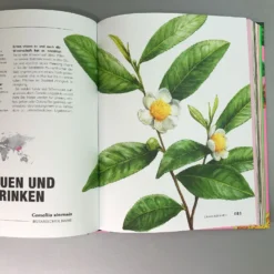 Kuriose Pflanzen (Von Hot Lips über Wasserfalle Bis Spritz) 13 Kuriose Pflanzen (Von Hot Lips über Wasserfalle Bis Spritz) -Gartenpflanzen Verkaufsladen 39041 Kuriose 20Pflanzen Von 20hot 20lips 20ueber 20Wasserfalle 20bis 20Spritz 6