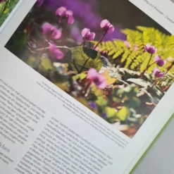 Blütenreich (Katrin Lugerbauer) -Gartenpflanzen Verkaufsladen Bluetenreich 4