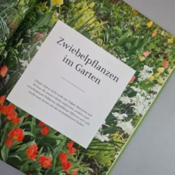 Blütenreich (Katrin Lugerbauer) -Gartenpflanzen Verkaufsladen Bluetenreich 5